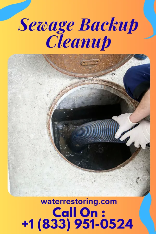 Sewage Backup Cleanup in New Liberty, IA